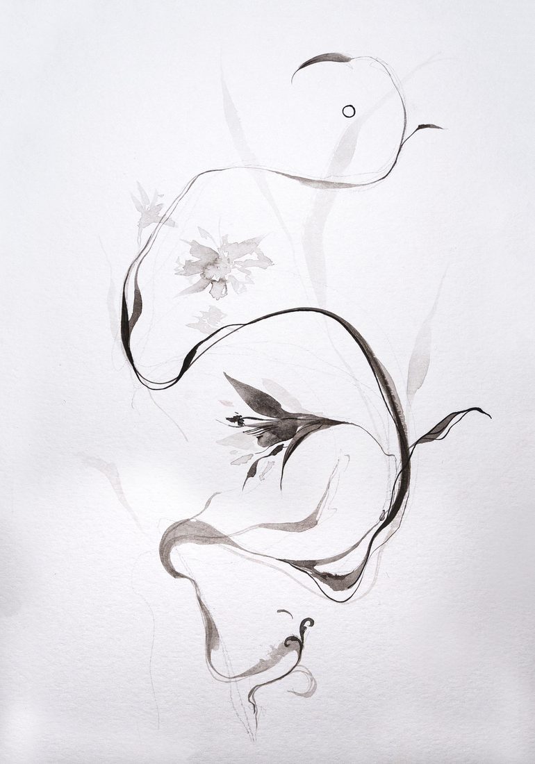 «Abstracción floral», línia contínua en tinta xinesa amb motius florals, de Mai Solsona